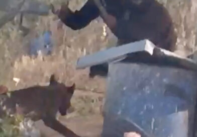 In West Bank, Latest Victim of Israeli Settler Violence Shocks in a New Way In West Bank, Latest Victim of Israeli Settler Violence Shocks in a New Way