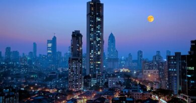 India Is Building The Electric Economy Without The Fossil Detour