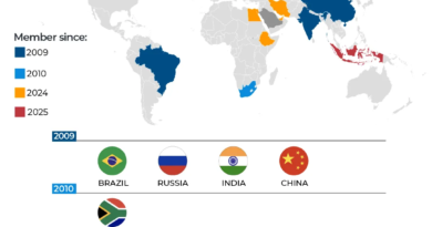 INTERACTIVE - BRICS members 2026-1778653676
