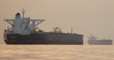 Iran warns US to stay out of Hormuz after Trump says US will ‘guide’ ships