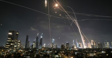Israel Said to Have Helped Defend Emirates in Iran War With Iron Dome