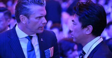 US Secretary of Defense Pete Hegseth (L) speaks with Japan's Defense Minister Shinjiro Koizumi during the 23rd Shangri-La Dialogue summit in Singapore on May 29, 2026. (Photo by JAM STA ROSA / AFP)