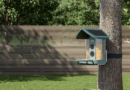 Kiwibit’s AI-powered bird feeder is my new backyard buddy | TechCrunch
