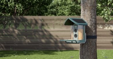 Kiwibit’s AI-powered bird feeder is my new backyard buddy | TechCrunch