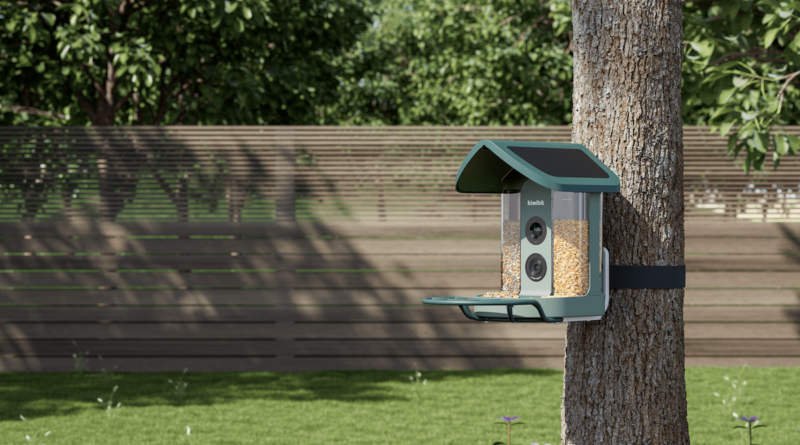 Kiwibit’s AI-powered bird feeder is my new backyard buddy | TechCrunch