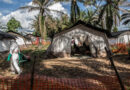 Large Ebola Outbreak Is Declared in Congo

