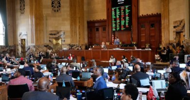 Louisiana lawmakers pass congressional map favouring Republicans