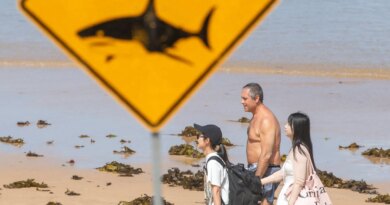 Man killed in great white shark attack in western Australia