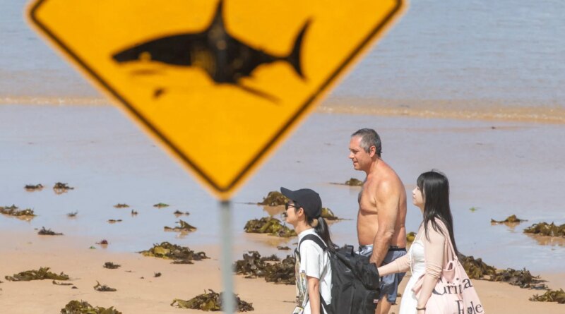 Man killed in great white shark attack in western Australia