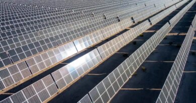 Rows of solar panels face the sunlight in Nevada.