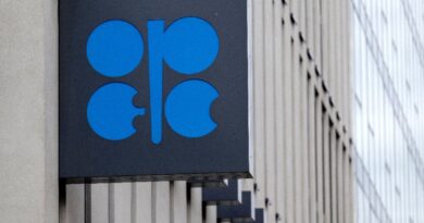 OPEC+ to make first post-UAE production decision