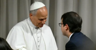 Pope Leo isn't joining Anthropic, but the memes are funny