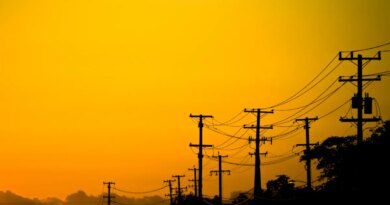 Power lines and trees in California at sunset.