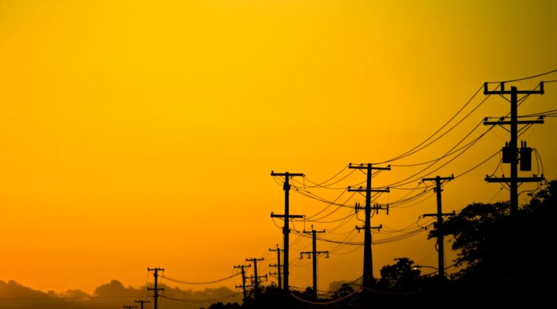 Power lines and trees in California at sunset.