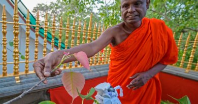 Senior Sri Lankan monk suspended over child sex abuse allegation