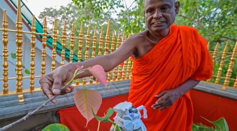 Senior Sri Lankan monk suspended over child sex abuse allegation