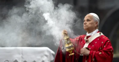 Silicon Valley takes its AI pitch to Pope Leo