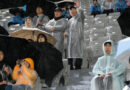 Soccer Game Between North and South Korean Teams Draws Strong Emotion On and Off the Pitch
