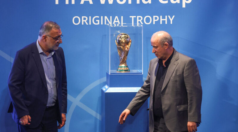 Soccer-Iran FA president says he was allowed to enter Canada but chose to turn back
