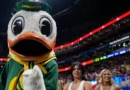 Some users may be giving Google's AI search the bird, and DuckDuckGo is benefiting