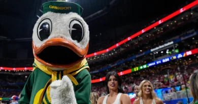 Some users may be giving Google's AI search the bird, and DuckDuckGo is benefiting
