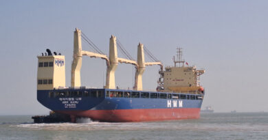 South Korea begins probe into ship fire in Strait of Hormuz amid Iran dispute