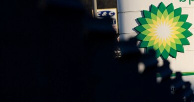 States should tax windfall oil profits to fund their way out of crisis