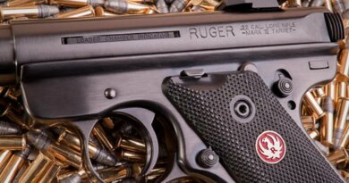 Sturm, Ruger & Company Stock: Industry Deterioration Necessitates A Downgrade (NYSE:RGR)