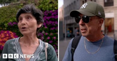 Tenerife resident calls plan 'reckless' as hantavirus ship approaches