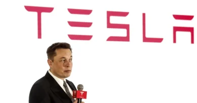 Tesla made over $500 million selling to xAI and SpaceX last year