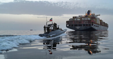 The Iranian ‘mosquito fleet’ taking on the mighty US Navy