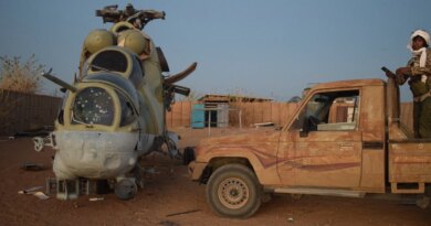 The Mali crisis could have a dangerous spillover effect
