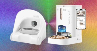 These WIRED-Tested Automatic Pet Feeders Are the Cat’s Meow