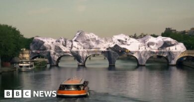 Timelapse footage shows giant 'cave' inflated over Paris bridge
