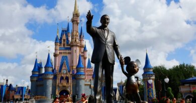 Trade Body Reveals The Theme Park With The Highest Attendance Growth. And It Isn’t Disney