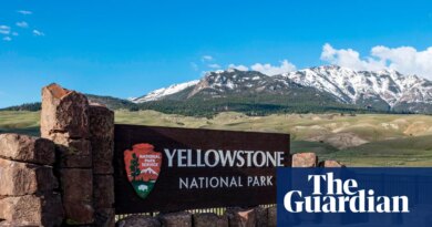 Trump administration relaxing hunting restrictions in US parks and refuges