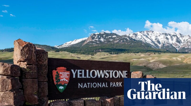 Trump administration relaxing hunting restrictions in US parks and refuges