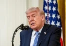 Trump is weighing AI oversight. This is what smart people are saying about it.