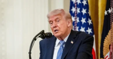 Trump is weighing AI oversight. This is what smart people are saying about it.