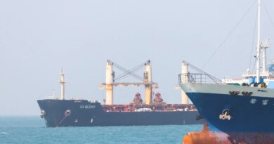 Trump pauses US operation in Strait of Hormuz in push for deal with Iran