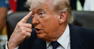 Trump says pausing Hormuz operation in push for Iran deal
