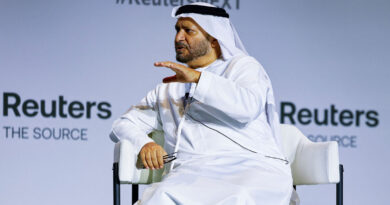 UAE's Gargash sees '50-50' odds of US-Iran deal, warns against renewed fighting