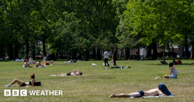 Sunbathers lying in the grass at a park in London on a sunny day