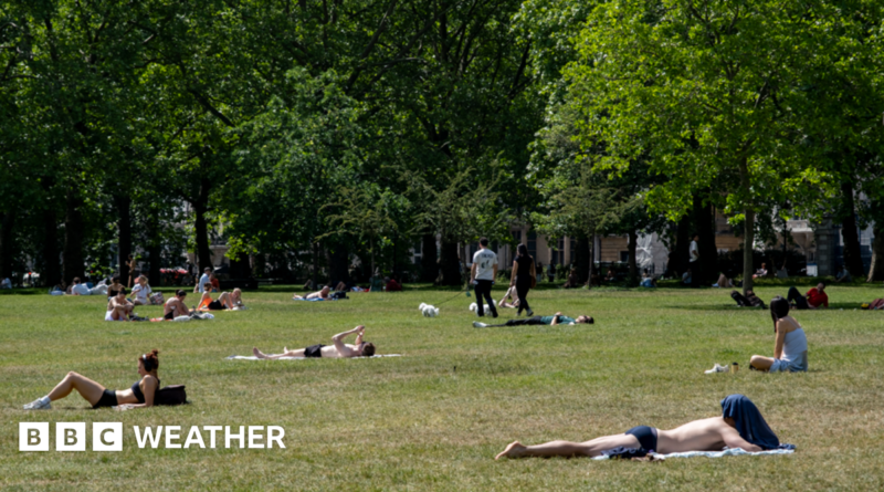 Sunbathers lying in the grass at a park in London on a sunny day