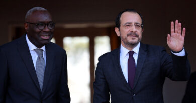 UN may put Cyprus peace plan forward this year, Cypriot president says