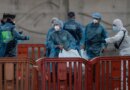US Passenger Evacuated From Cruise Ship Tests Positive For Hantavirus (Live)