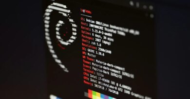 a screenshot of Debian Linux on a black screen with a white terminal font