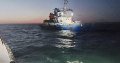 Ukraine says Russian drones attacked three foreign-flagged vessels