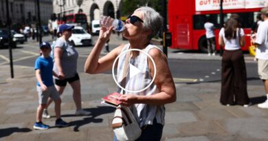 Video: Record Heat Grips Parts of Europe

