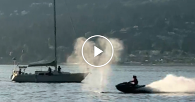 Video: Video Shows a Jet Ski Collide With a Grey Whale